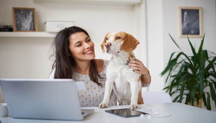 french blogs from home