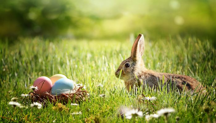 How to talk about Easter in French: Phrases and Traditions